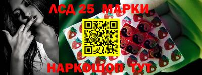 стафф Гусев