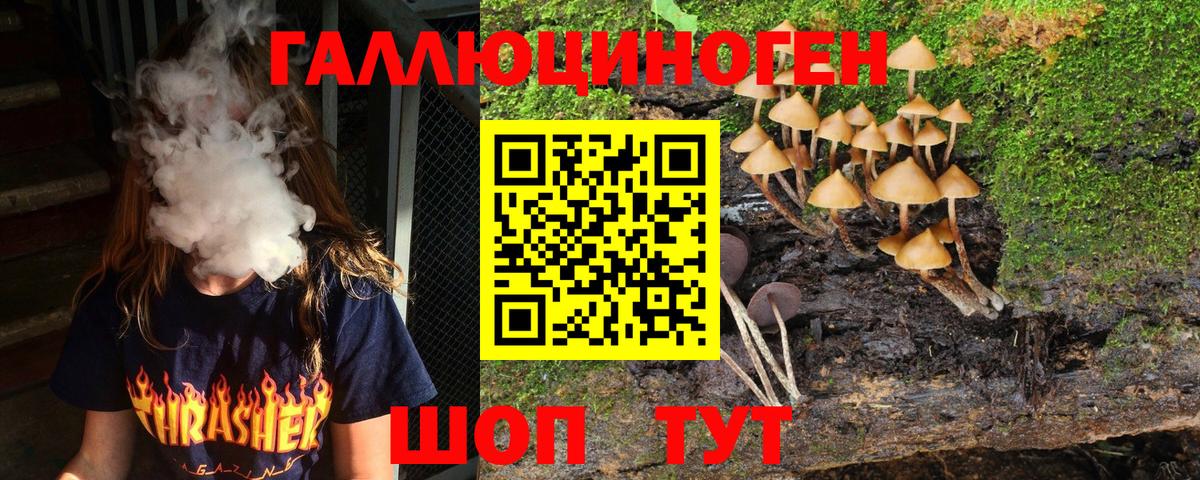 Галлюциногенные грибы GOLDEN TEACHER Павловский Посад