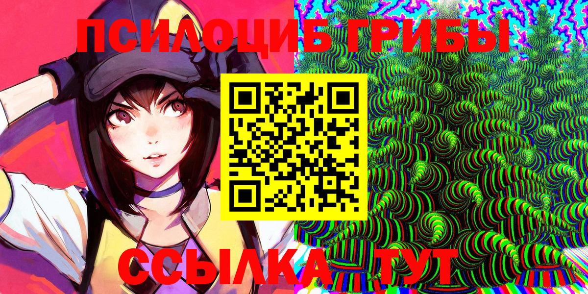 Галлюциногенные грибы MAGIC MUSHROOMS  Вход с VPN  Павловский Посад 